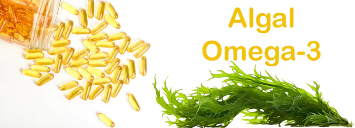 How Algal Omega-3 Supports Cholesterol and Blood Pressure Naturally