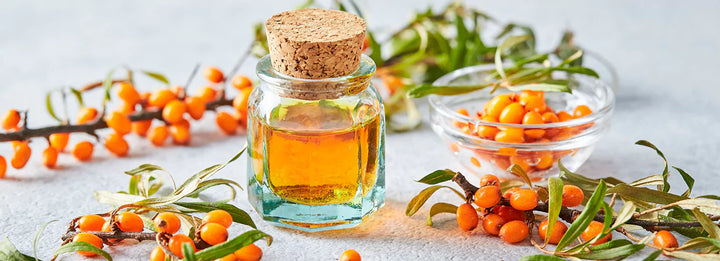 Sea Buckthorn Oil for Hair: The Surprising Benefits for Thicker, Healthier Locks