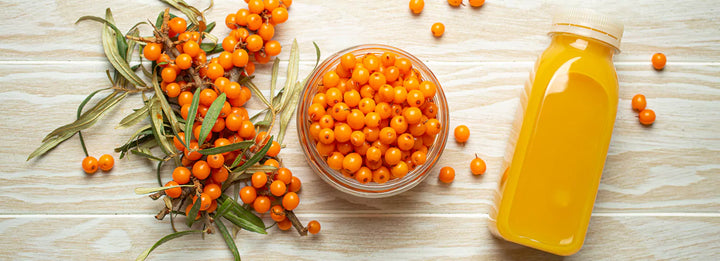 Top 7 Reasons Sea Buckthorn Is a Must-Have Daily Nutrient