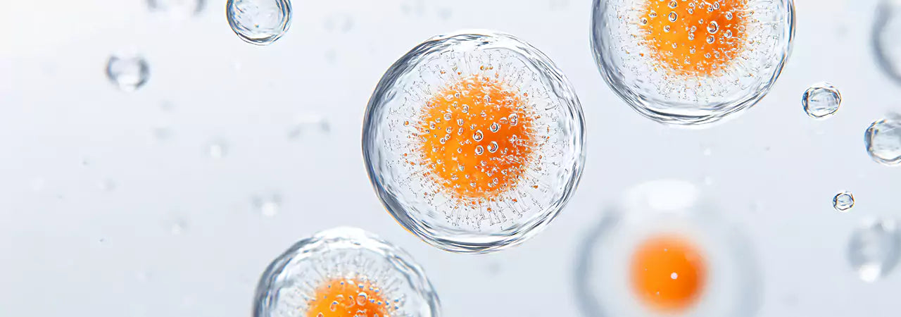 Liposomal Supplements