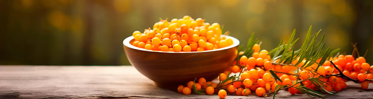 Seabuckthorn