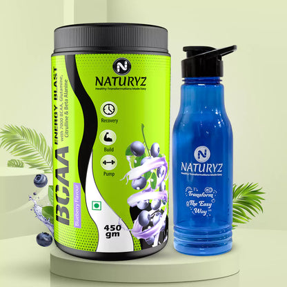 Naturyz Instantized BCAA 450g (Blueberry Mojito Flavour)-With Shaker