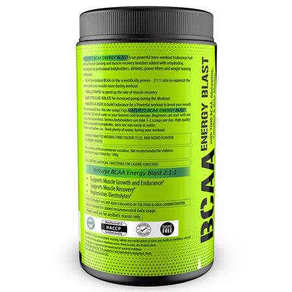 Naturyz Instantized BCAA 450g (Blueberry Mojito Flavour)-With Shaker