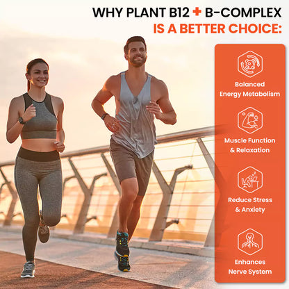 Plant-Based Vitamin B12 + B Complex Multivitamin Gummies (Orange Flavour)