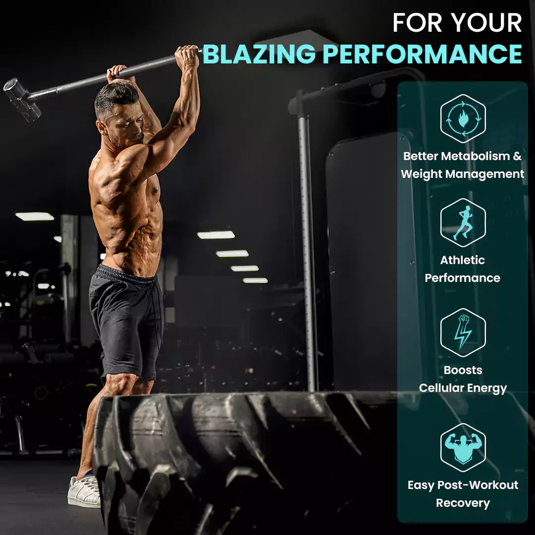 triple strength l carnitine benefits L-Carnitine Liquid GNC Total Lean Triple Strength