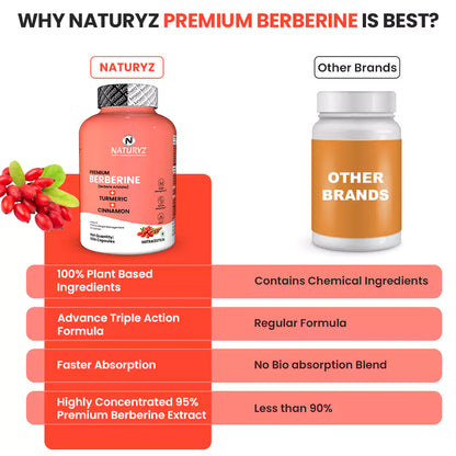 Premium Berberine + Cinnamon + Turmeric Supplement 60 Capsules