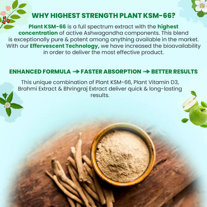 Plant KSM-66 For Muscle Recovery & Relieve Stress (Green Apple Flavour) - 20 Tablets