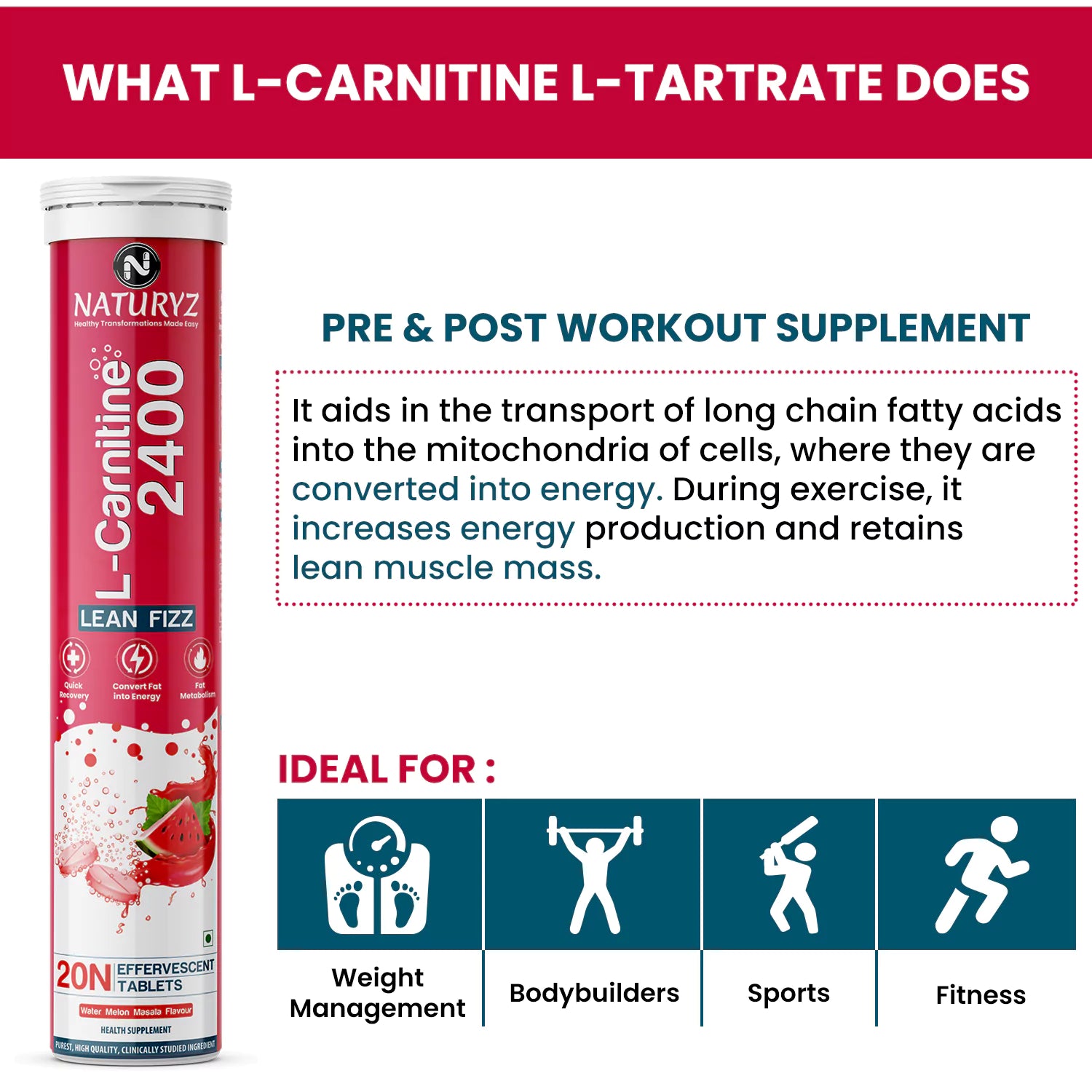 Buy L-Carnitine 2400mg for Fat Loss | 20 Tablets | Naturyz Buy L-Carnitine 2400mg for Fat Loss | 20 Tablets | Naturyz